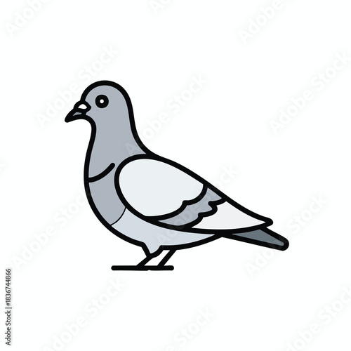 Bird Standing Illustration