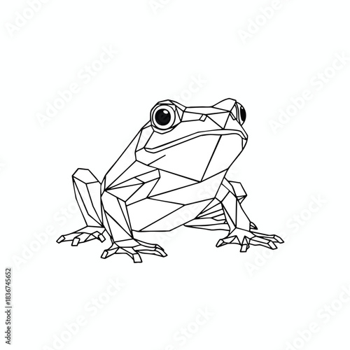 Geometric Frog Line Art