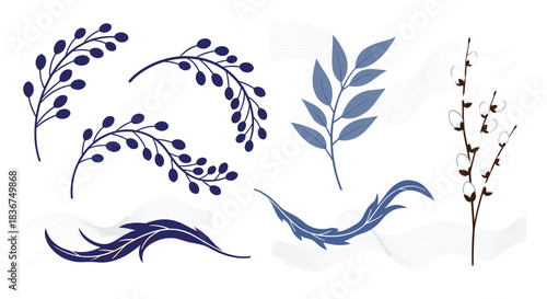 An elegant collection of blue and white botanical illustrations including berry branches, leaves, and pussy willow for decorative designs.