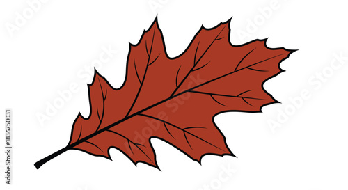 Simple cartoon vector illustration of a single red-brown northern red oak leaf, symbolizing the autumn season and the beauty of fall foliage.