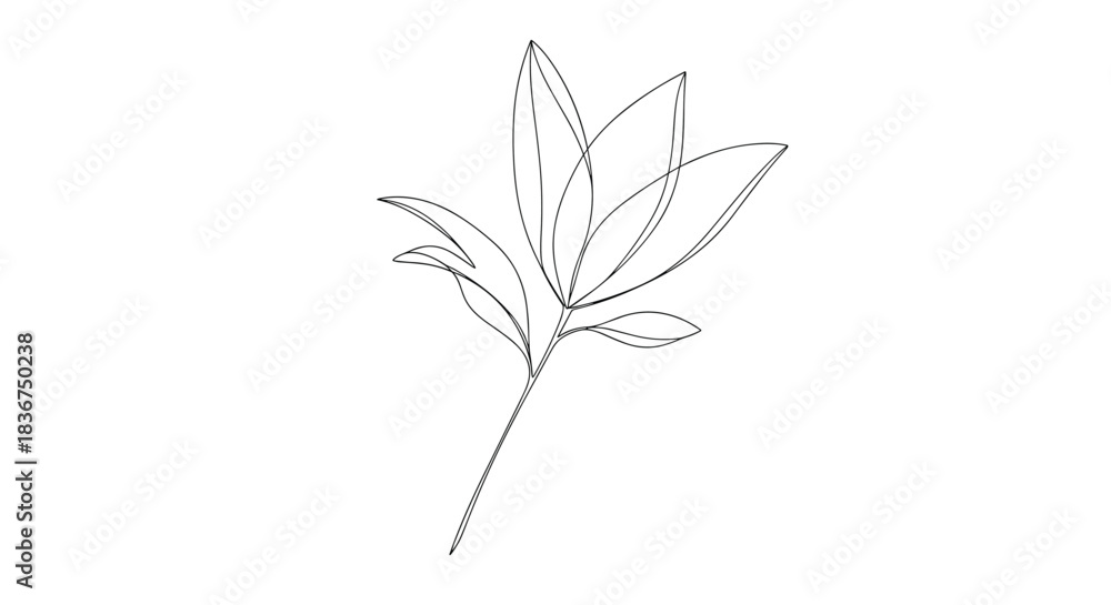 Obraz premium Modern minimalist line art illustration of a botanical plant stem with leaves, created with elegant, dashed and continuous lines.