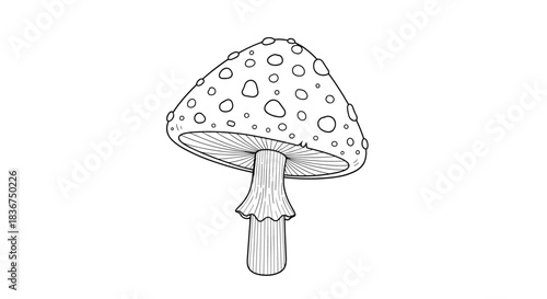 Detailed black and white line art of a spotted fly agaric mushroom, hand-drawn in a vintage-inspired woodcut or engraving style.