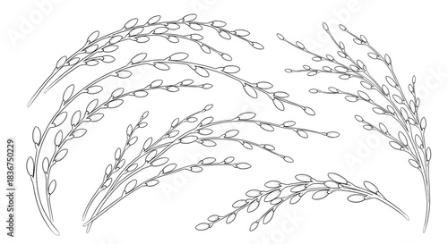 Collection of elegant pussy willow branches hand-drawn in a delicate black and white stitched line style, perfect for spring designs.