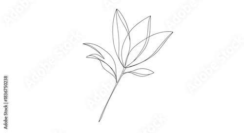 Modern minimalist line art illustration of a botanical plant stem with leaves, created with elegant, dashed and continuous lines.
