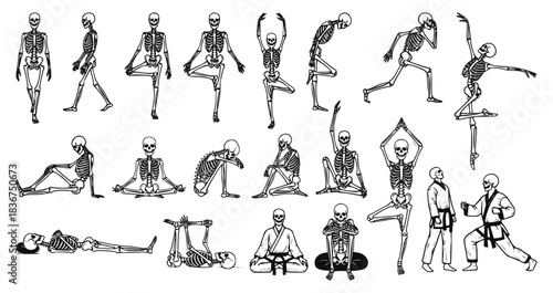 Monochrome vector set of human skeletons in yoga, martial arts, and exercise poses. Ideal for anatomy, health, fitness, movement, and wellness design projects.