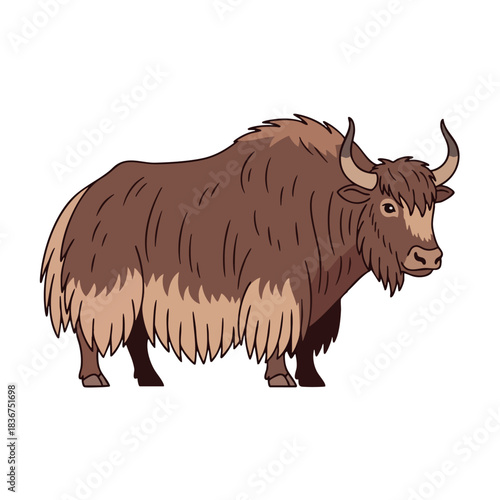 Illustration of a yak with shaggy fur