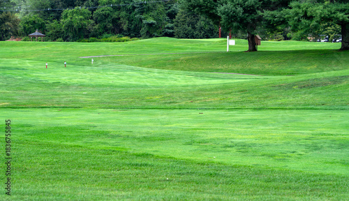 Fototapeta Naklejka Na Ścianę i Meble -  green grass meadow in the golf course
