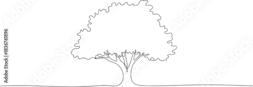 Minimalist single continuous line drawing capturing the elegant form of a standing tree on a white background