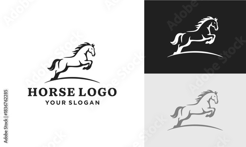 Dynamic jumping horse logo design in three color variations, suitable for branding and equestrian businesses.