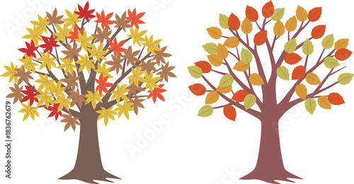 Fallen leaves and autumnal tree images