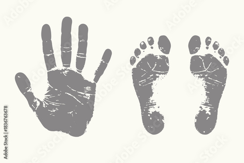 vintage style fingerprint and footprints marks illustration. body marks art, grunge texture prints, human palm and soles engraving style. eps 10