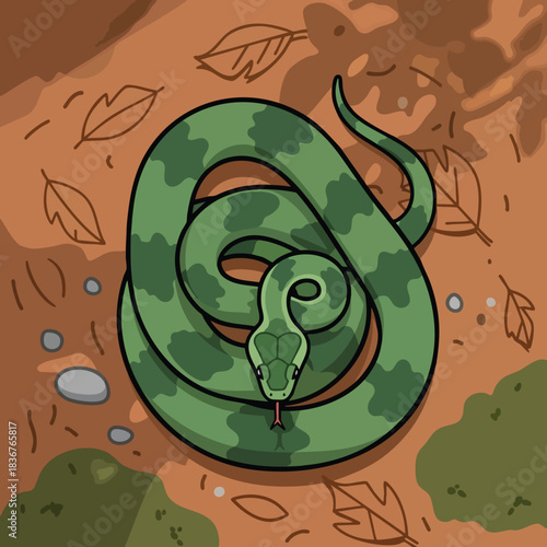 Green camouflage snake coiled on forest ground