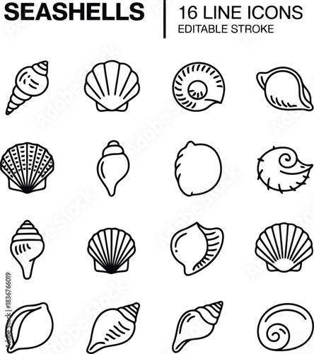 This set presents sixteen elegant black line icons illustrating a fascinating assortment of different seashells