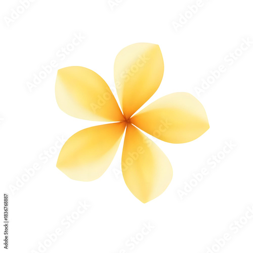 A beautiful yellow plumeria flower illustration, symbolizing tropical destinations and serene nature with its delicate petals on a white background, perfect for decorative use