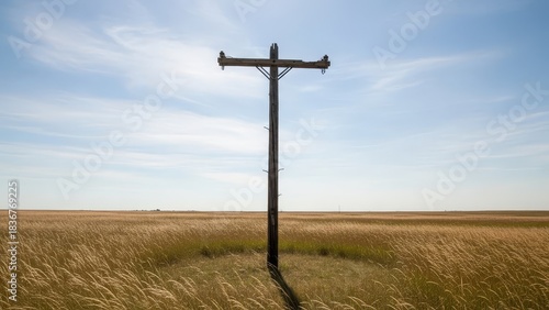 A weathered utility pole stands in a grassy field under a bright partly cloudy sky