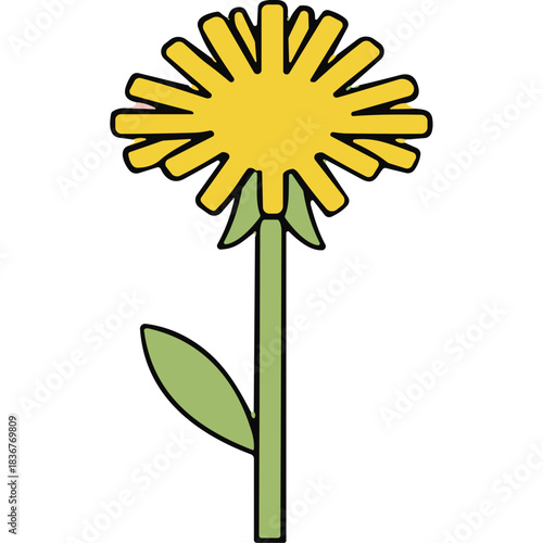 Yellow Dandelion Flower With Green Stem and Leaf on Black Background Simple Illustration