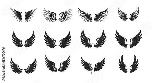 Collection of various black and white angel wing designs with different styles and shapes