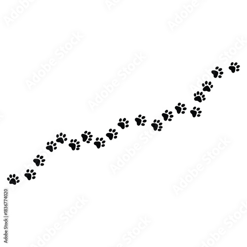 Charming black paw print trail moves upward across clean white background space