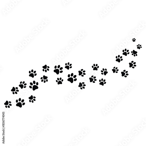 Charming trail of black pet paw prints winding across a clean white background