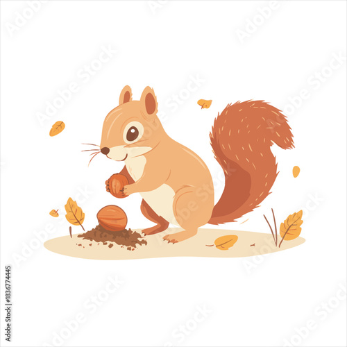 Cute squirrel holding a nut