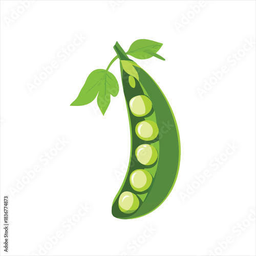 Fresh green peas in a pod