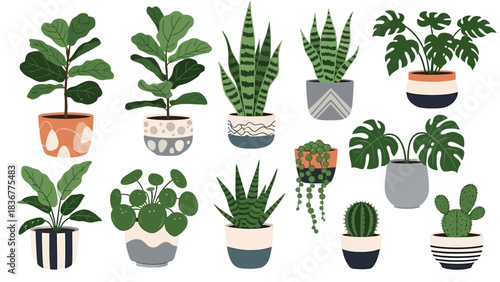 Stylish houseplant collection brings modern, fresh vibes to any space, perfect for interior design projects and creating a calming, nature-inspired atmosphere