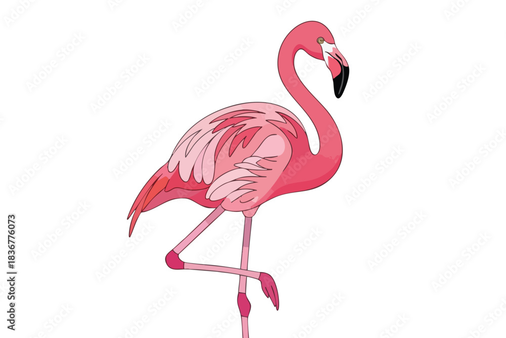 Fototapeta premium Pink Flamingo Standing on One Leg