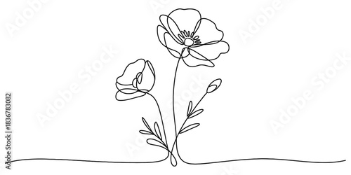 Continuous line drawing of two delicate poppy flowers and a budding floral element, an elegant botanical illustration with a simple artistic flow style. Vector, illustration
