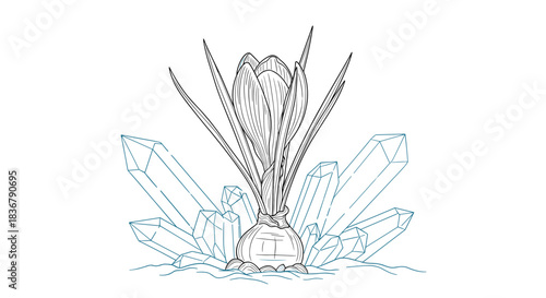 Mystical line art illustration of a crocus flower bulb growing among geometric blue crystals, a blend of nature and fantasy.