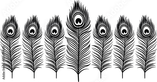 Row of seven detailed black and white peacock feathers (peafowl feathers) with distinctive "eye" spots, elegant vector illustration for art, wedding, India, and decorative design.