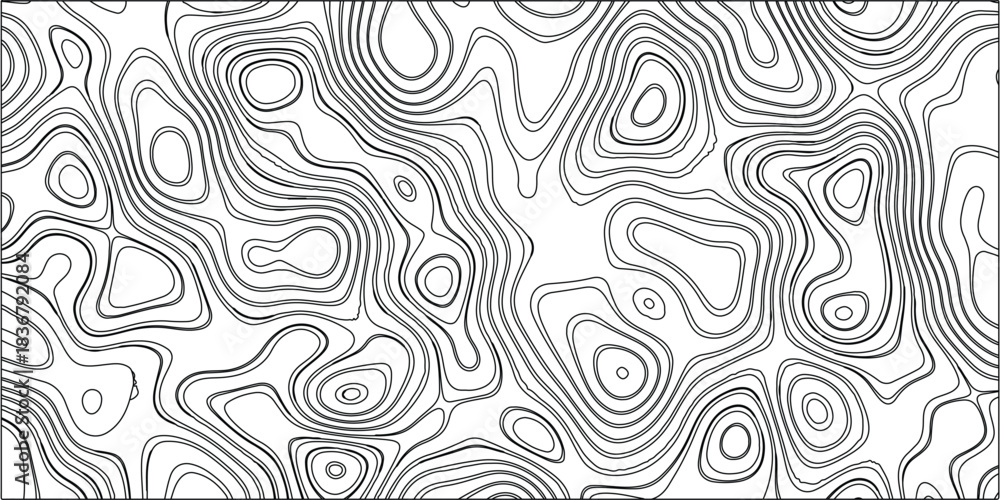Fototapeta premium Abstract topographic lines pattern flowing over a white background with a modern design