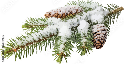 Snow covered evergreen boughs and pinecones create a peaceful winter scene with natural textures