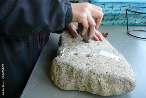 多孔石と磨石を使って子供が木の実を磨り潰す【縄文時代・弥生時代】