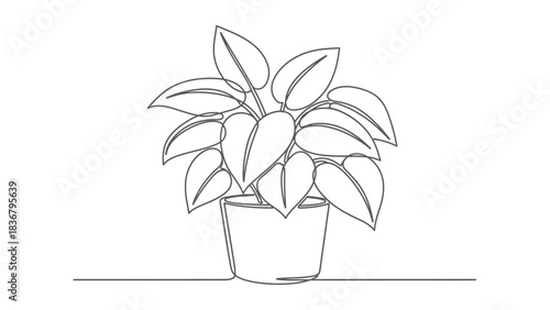 Continuous line drawing of a potted houseplant. Minimalist one line art vector illustration of an indoor plant in a pot.