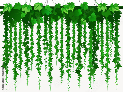 Green vines hanging down from a trellis