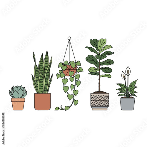 A charming illustration featuring a diverse collection of popular potted houseplants in various containers.