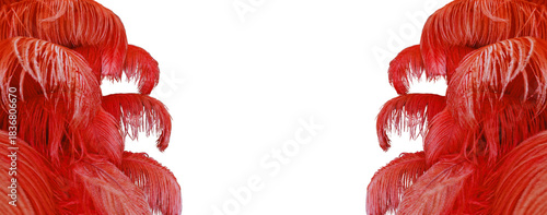 Red feathers on transparent background for graphic design.