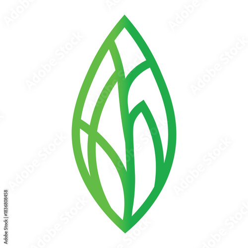 Bright green stylized leaf logo design element, abstract nature symbol with internal vein structure