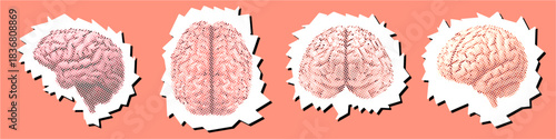 Set brain Halftone Dotted Collage Element Pointillize in Paper Torn vector for psychology and education designs. Symbolizes intelligence, creativity, and mental complexity.