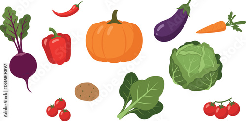 Fresh Organic Vegetable Set with Colorful Farm Produce and Healthy Food Icons