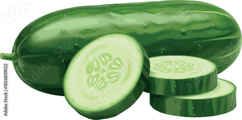Fresh Whole and Sliced Cucumber Green Vegetable with Realistic Juicy Texture Illustration