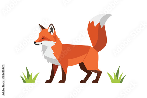 Cartoon Red Fox Illustration