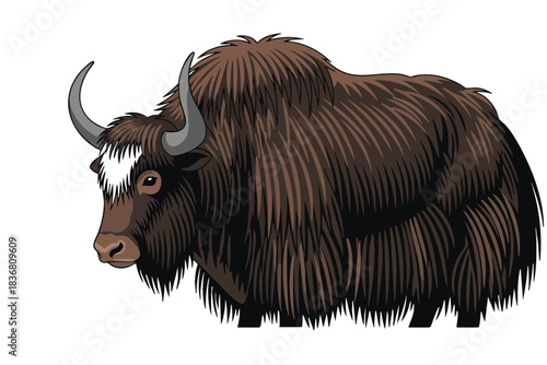 Vector illustration of a brown yak