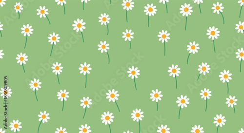 A charming and simple seamless pattern of scattered white daisy flowers with yellow centers on a solid light green background.