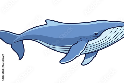 Illustration of a blue whale swimming