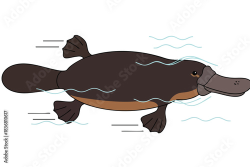 Cartoon platypus swimming in water
