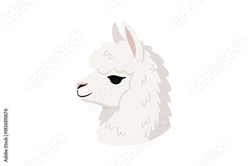 White Alpaca Head Illustration