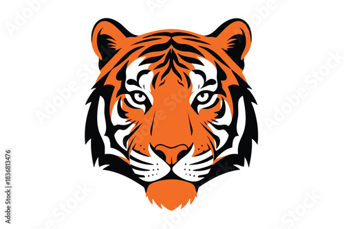 Vector Tiger Illustration