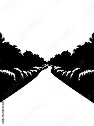 Black and white road through trees with lush foliage on sides  