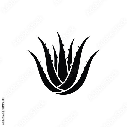 Dark graphic representation of an aloe vera plant highlighting its distinctive spiky leaves and growth pattern